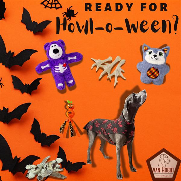 1.0 Cadeautjes Trick or Treat