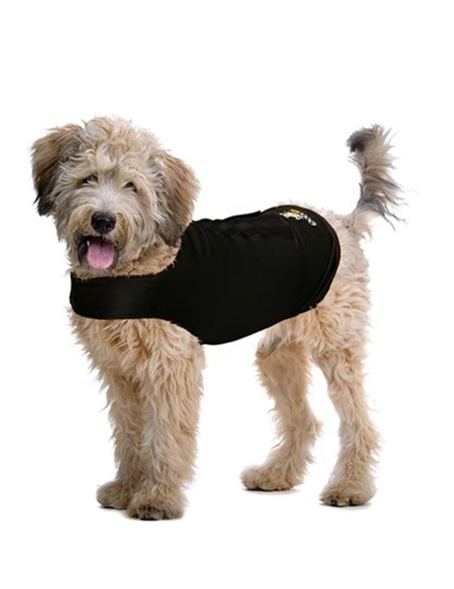 ZenDog Compression Shirt XX Large